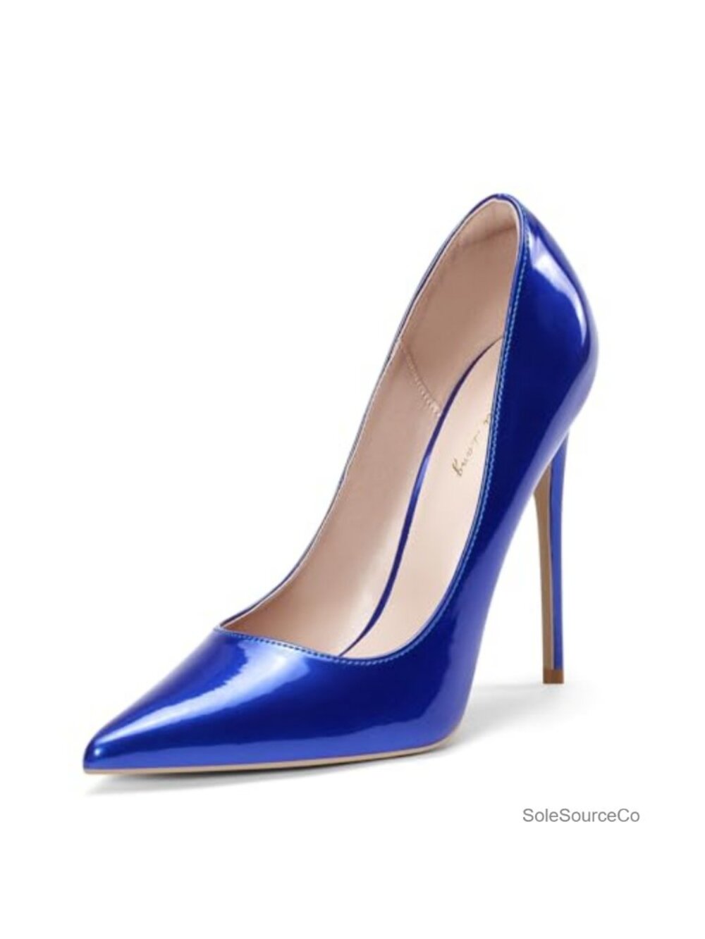 Women Pumps Pointed Toe Stiletto Heels 4.7 Inch High Heel Party Shoes